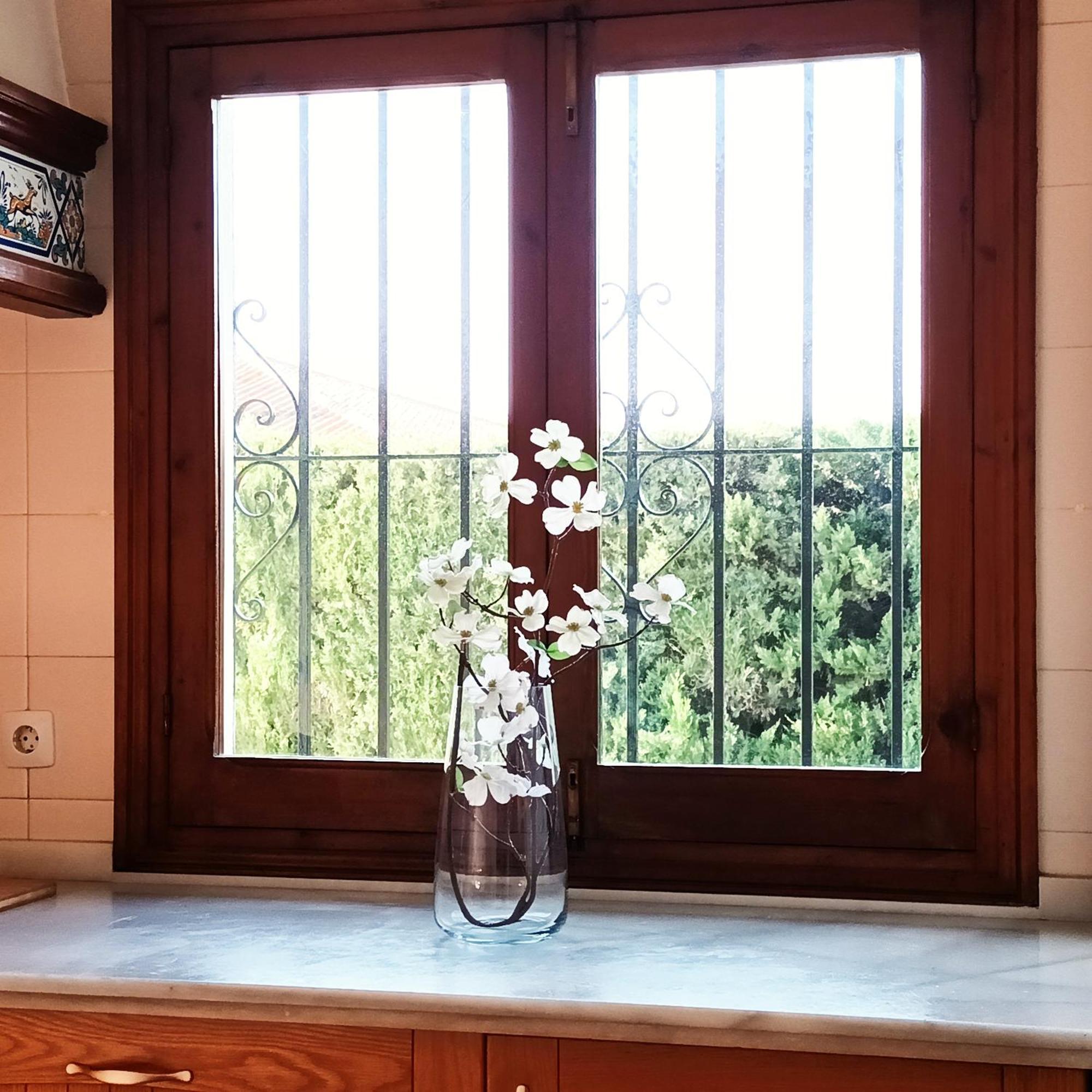 Hispalis Villa En マタラスカニャス エクステリア 写真